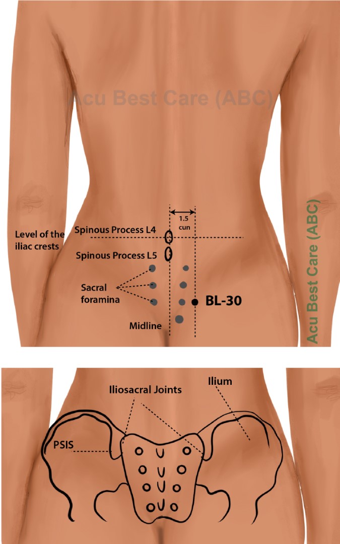 Acubestcare Meridian UB-30 or BL-30